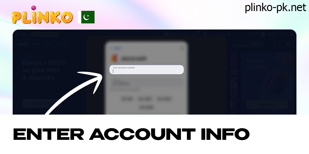 Enter account info for your transaction in casino website